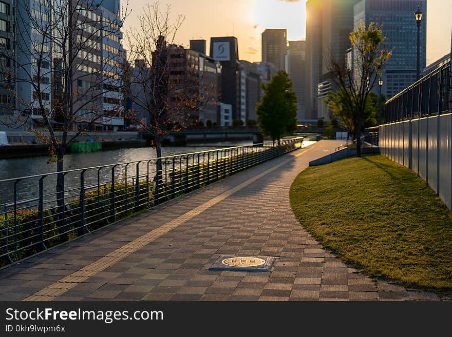 Pathway With Fences Near Body of Water