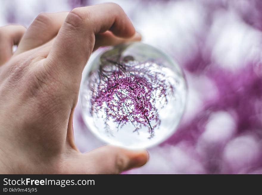 Person Holding Glass Ball