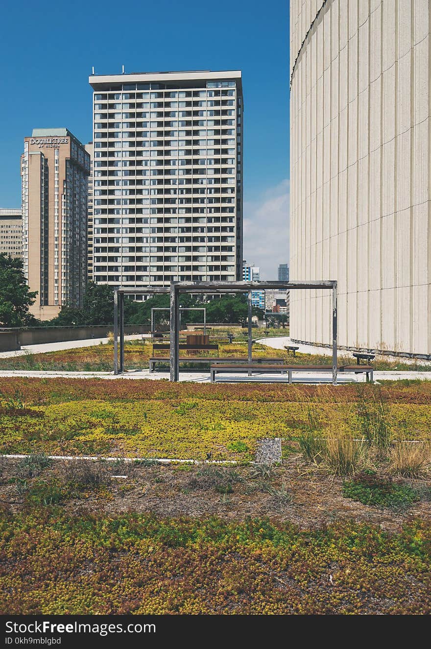 Two White Concrete Buildings