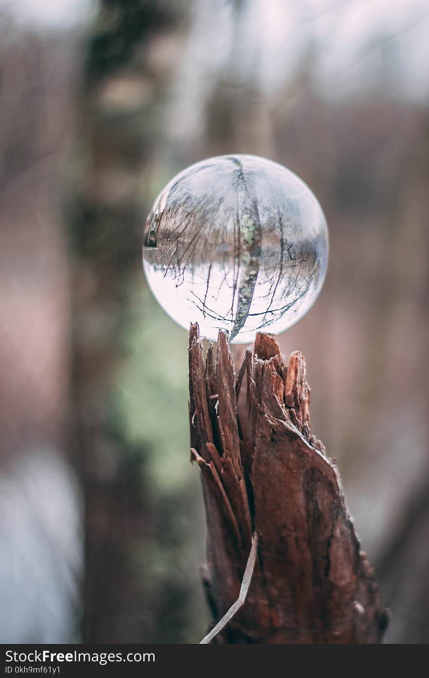 Clear Glass Ball