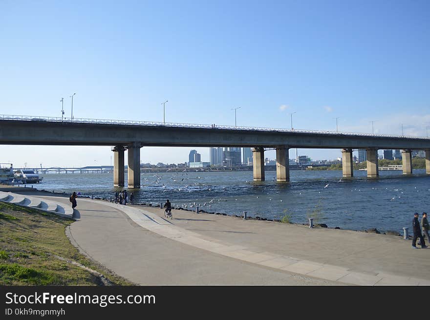 Pathway Under Concrete Bridge