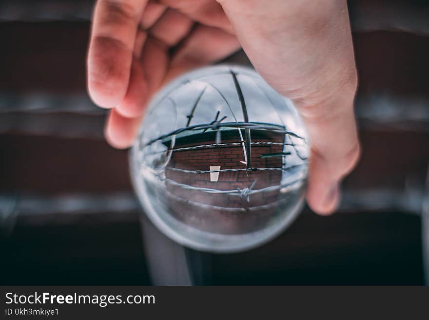 Person Holding Glass Ball