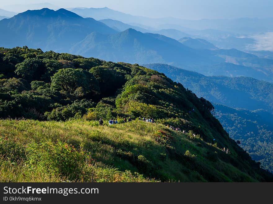 Green Leaf Plants on Mountains Landscape Photography