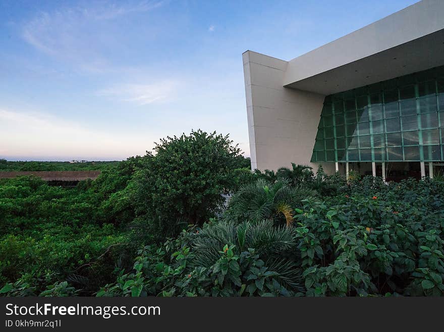 Forest Beside White Building Under Clear Sky