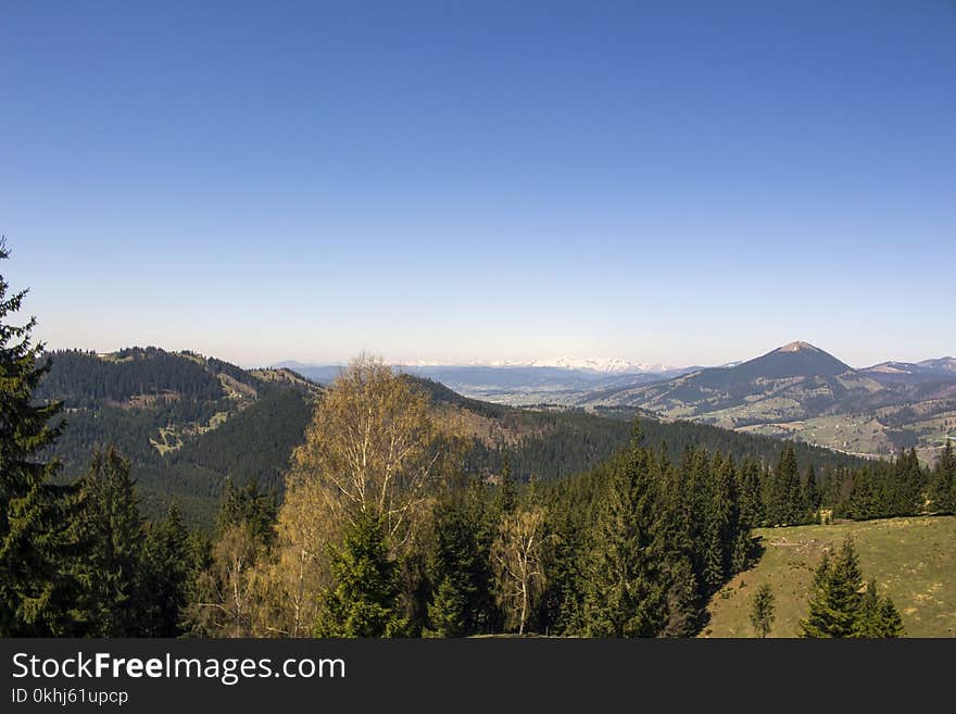 Mountain trip in Vatra Dornei