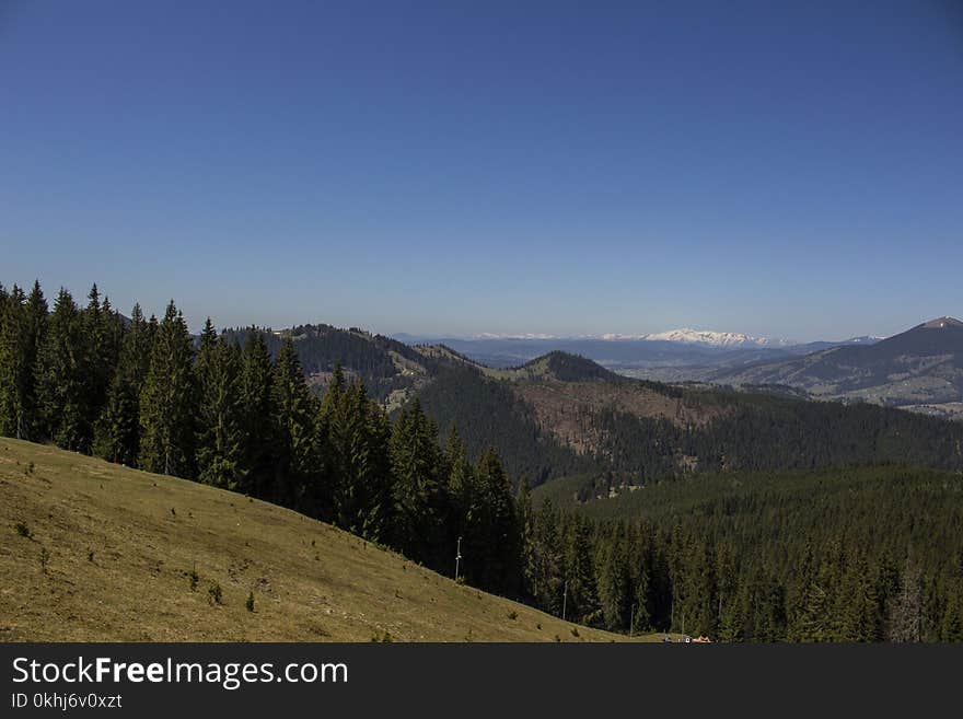 Mountain trip in Vatra Dornei