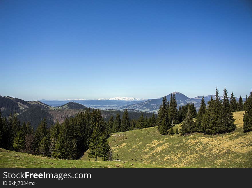 Carpathian Mountains Seen From Vatra Dornei