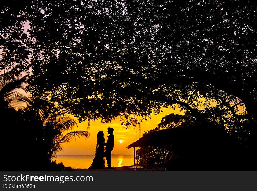 Silhouette Photo of Man and Woman during Sunset