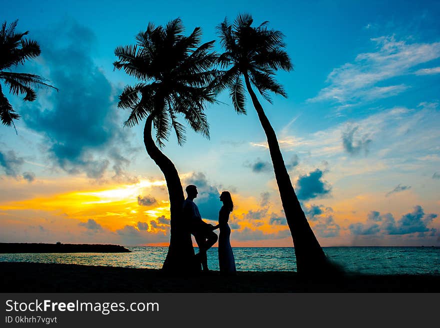 Silhouette Photo of Male and Female Under Palm Trees