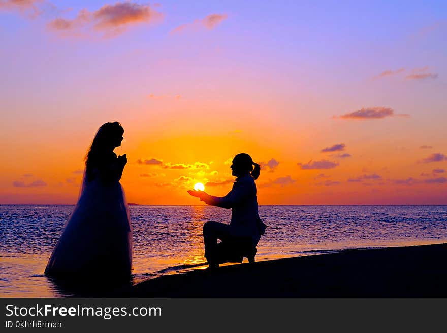 Silhouette of People during Sunset