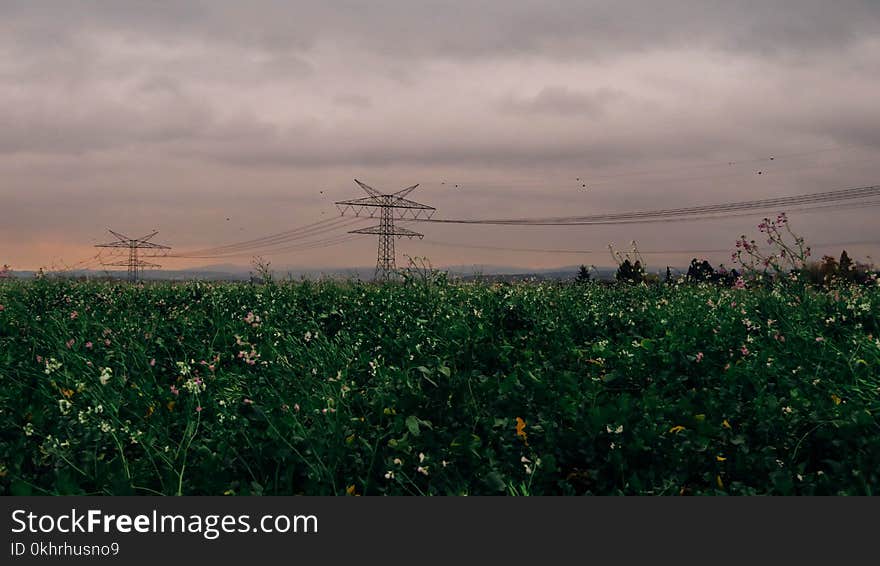 Scenic View of the Field