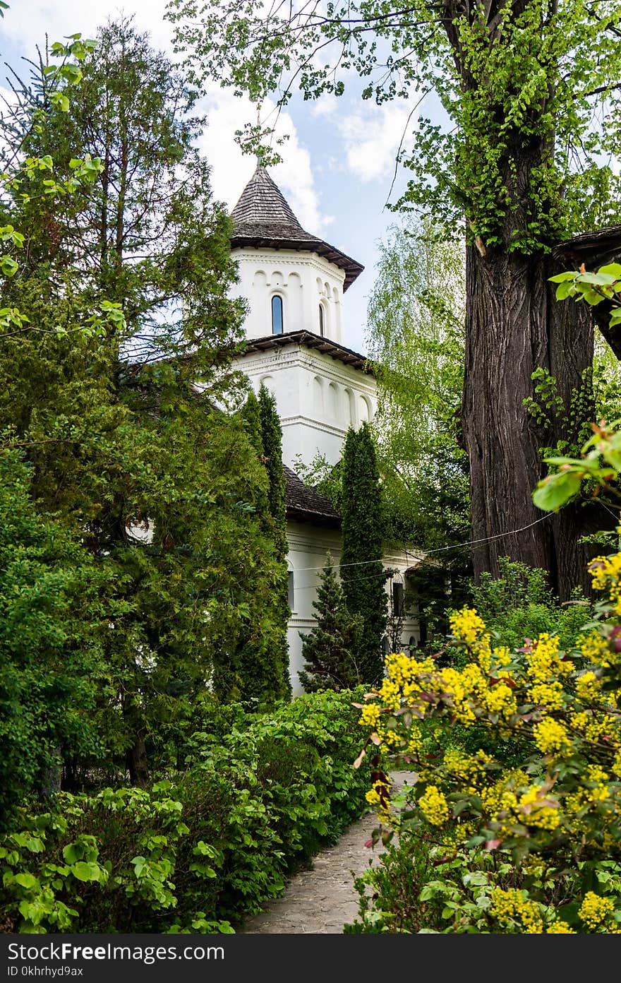 Photography of Plants Near Building