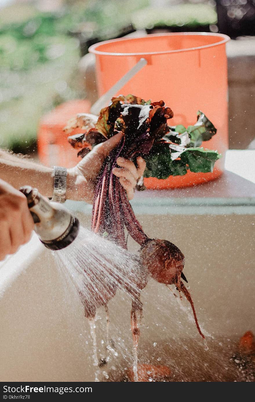 Cleaning Vegetables