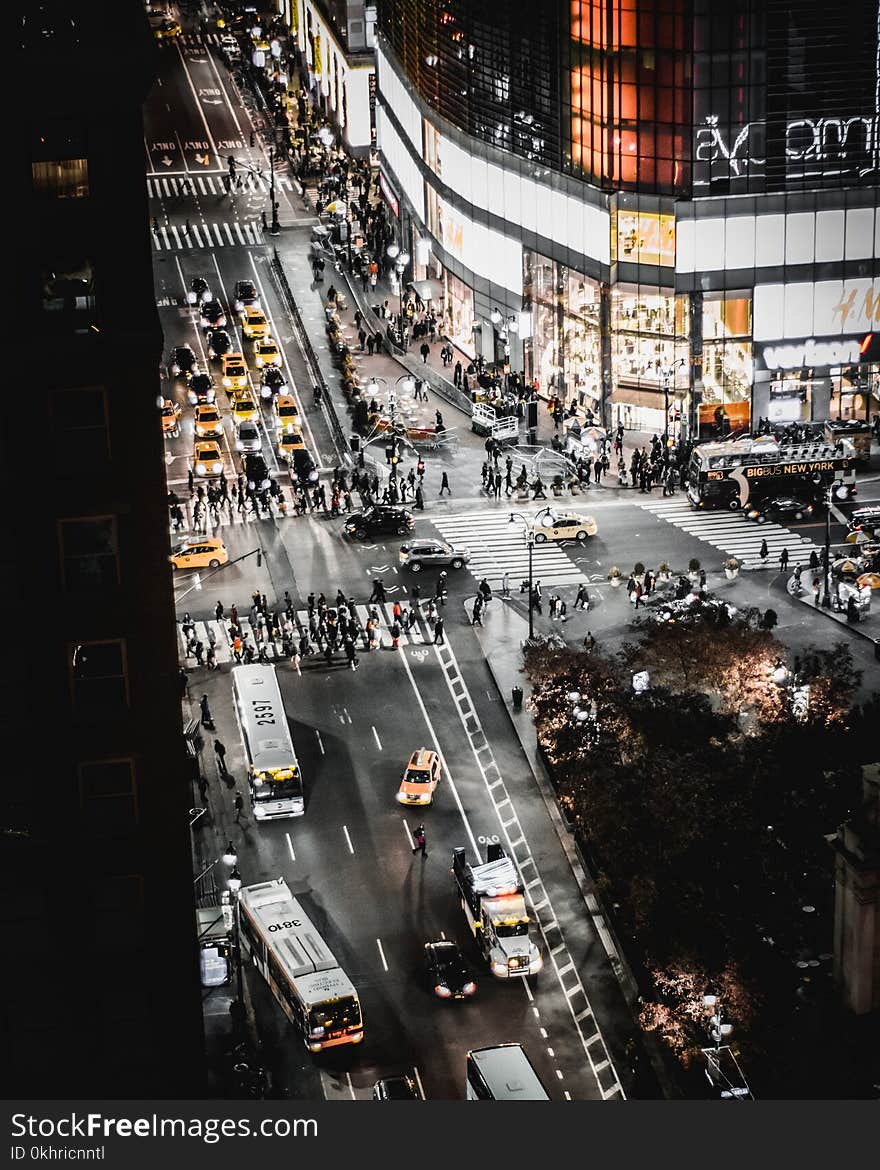 Bird&#x27;s Eye View Of People and Cars on Road