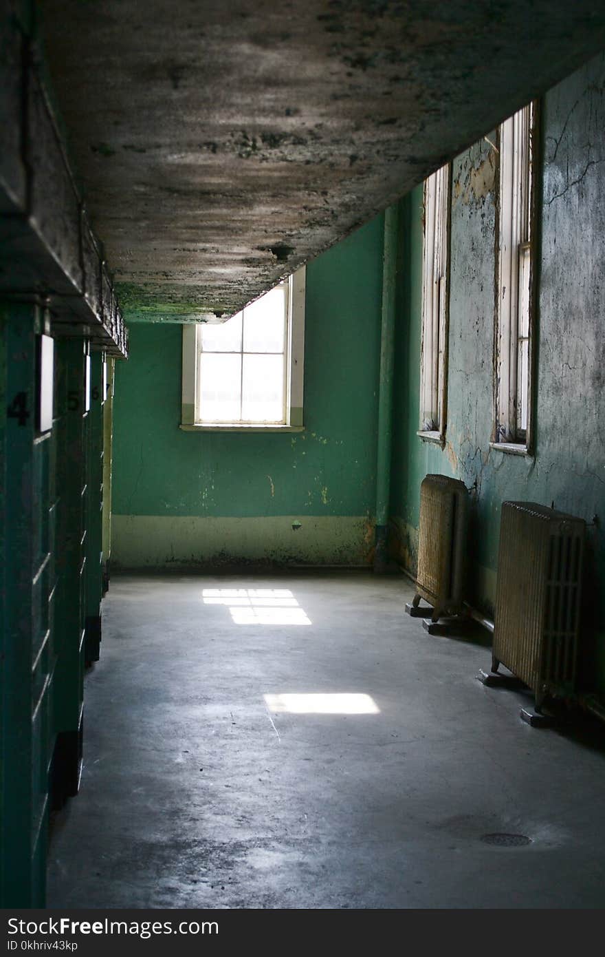 Green Painted Wall With Panel Heaters