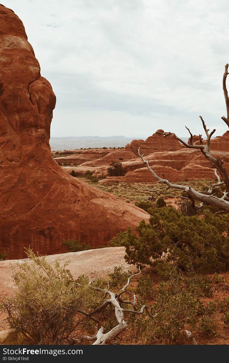 Brown Rock Formation Near Trees