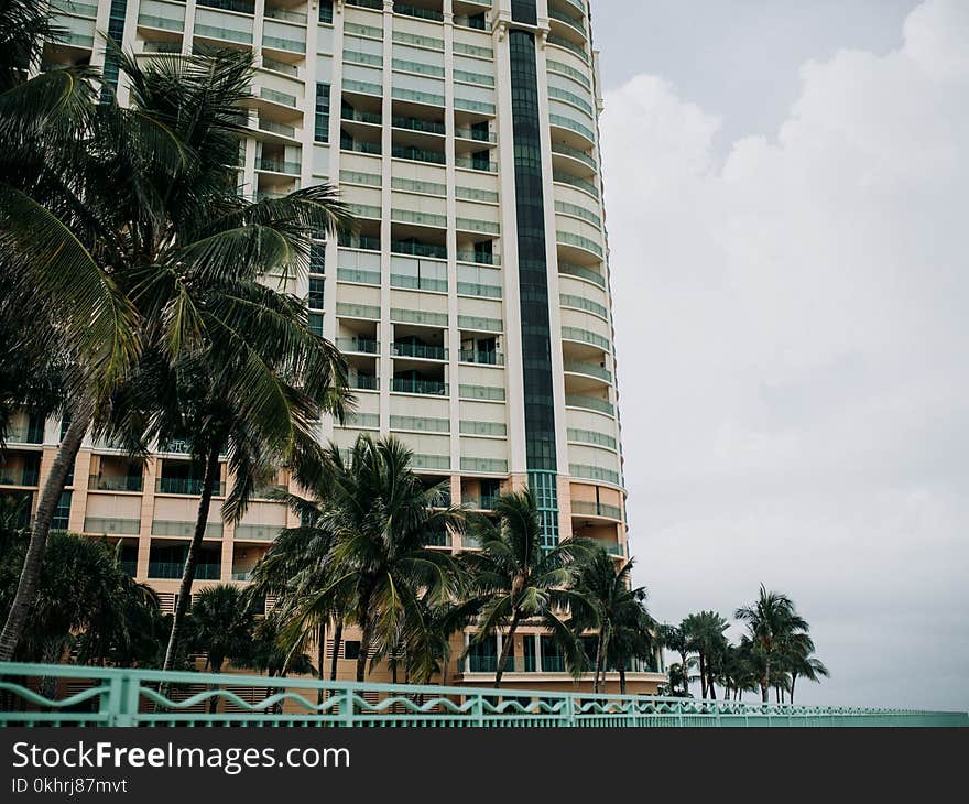 White and Black Condominium