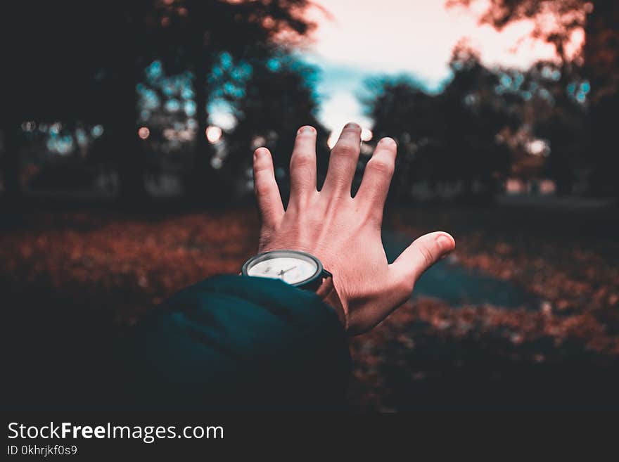 Person Wearing Round Analog Watch