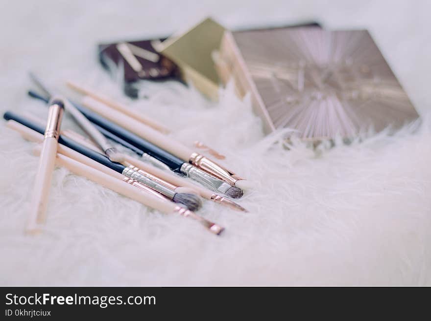 Assorted Cosmetic Brushes and Labeled Boxes