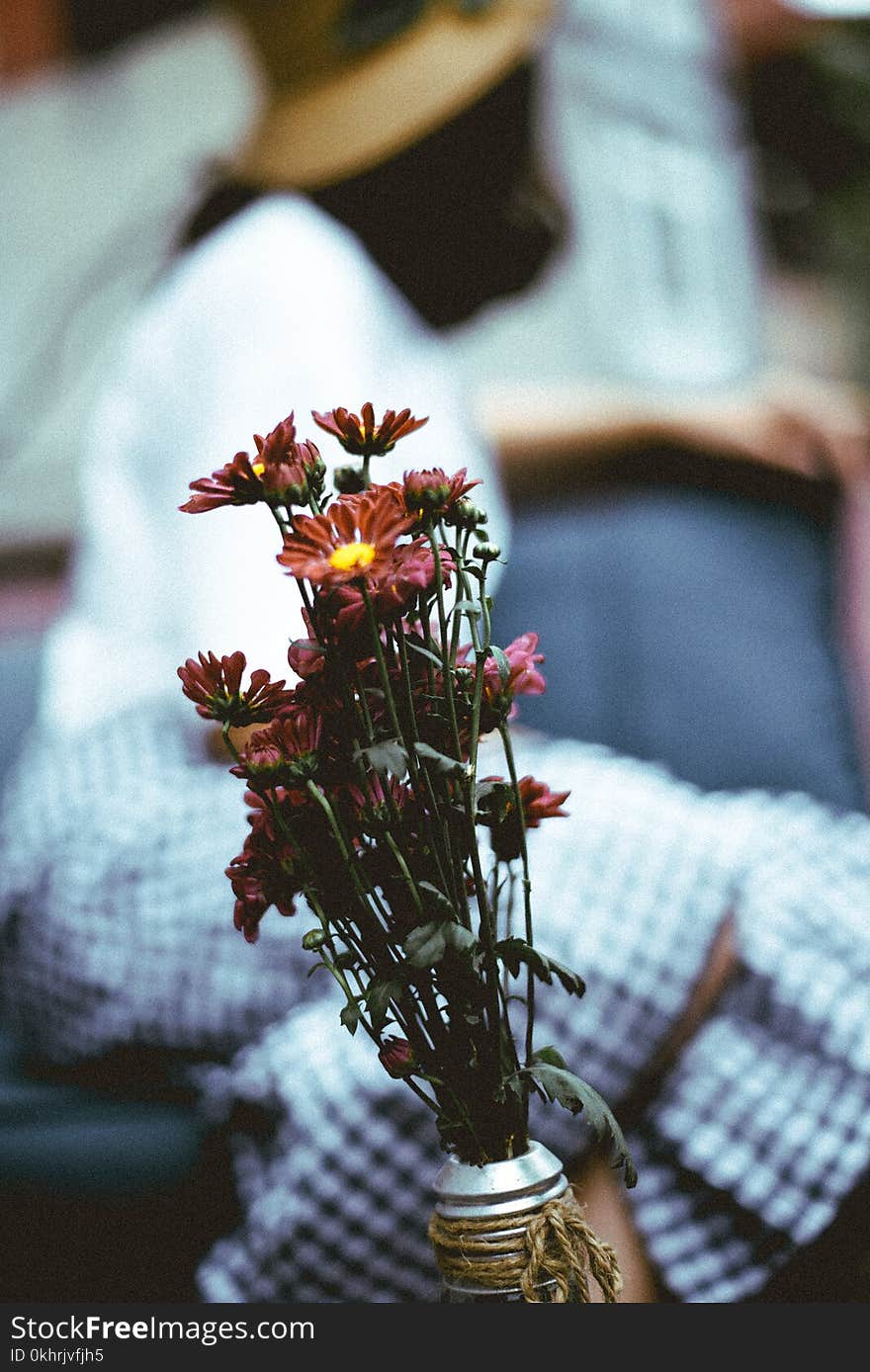 Selective Focus Photography of a Red Petaled Flowers