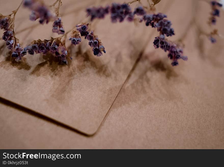 Shallow Photography of Purple Flowers