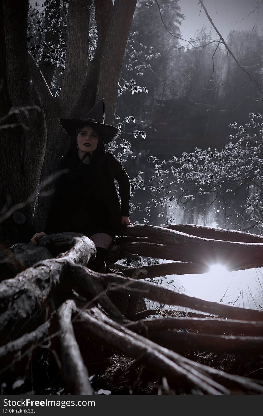 Witch in black pointed hat dark forest