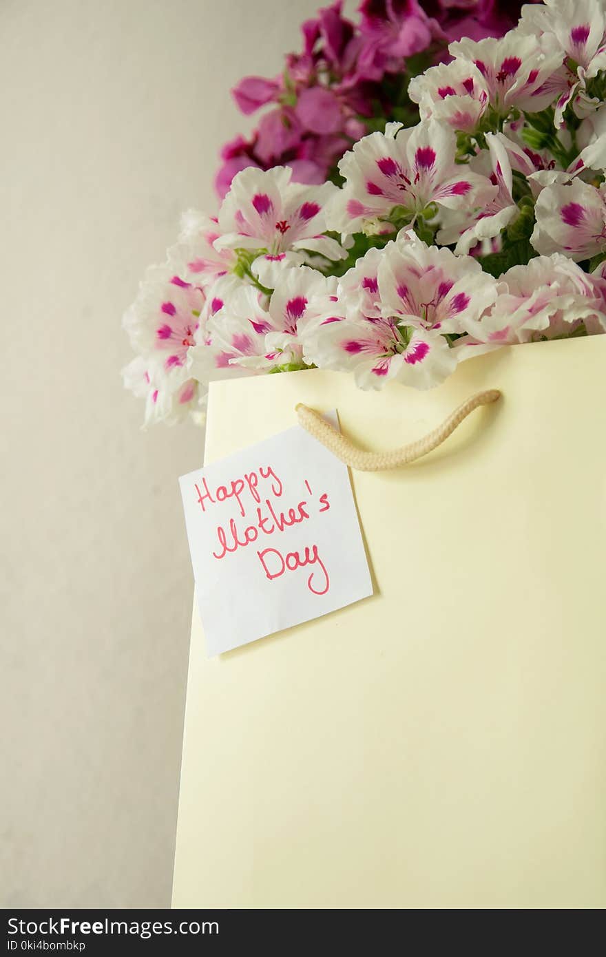 Paper bag with fresh flowers and greeting card for the Mother`s day, space for text