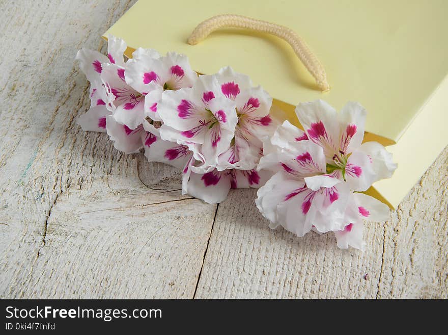 Beautiful fresh flowers in the paper bag - decoration, gift concept. Space for text