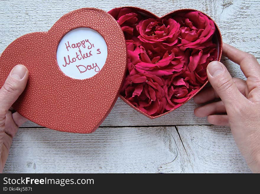 Womans hands holding heart box gift with fresh roses for Mother`s day. Gratefulness present concept. Womans hands holding heart box gift with fresh roses for Mother`s day. Gratefulness present concept