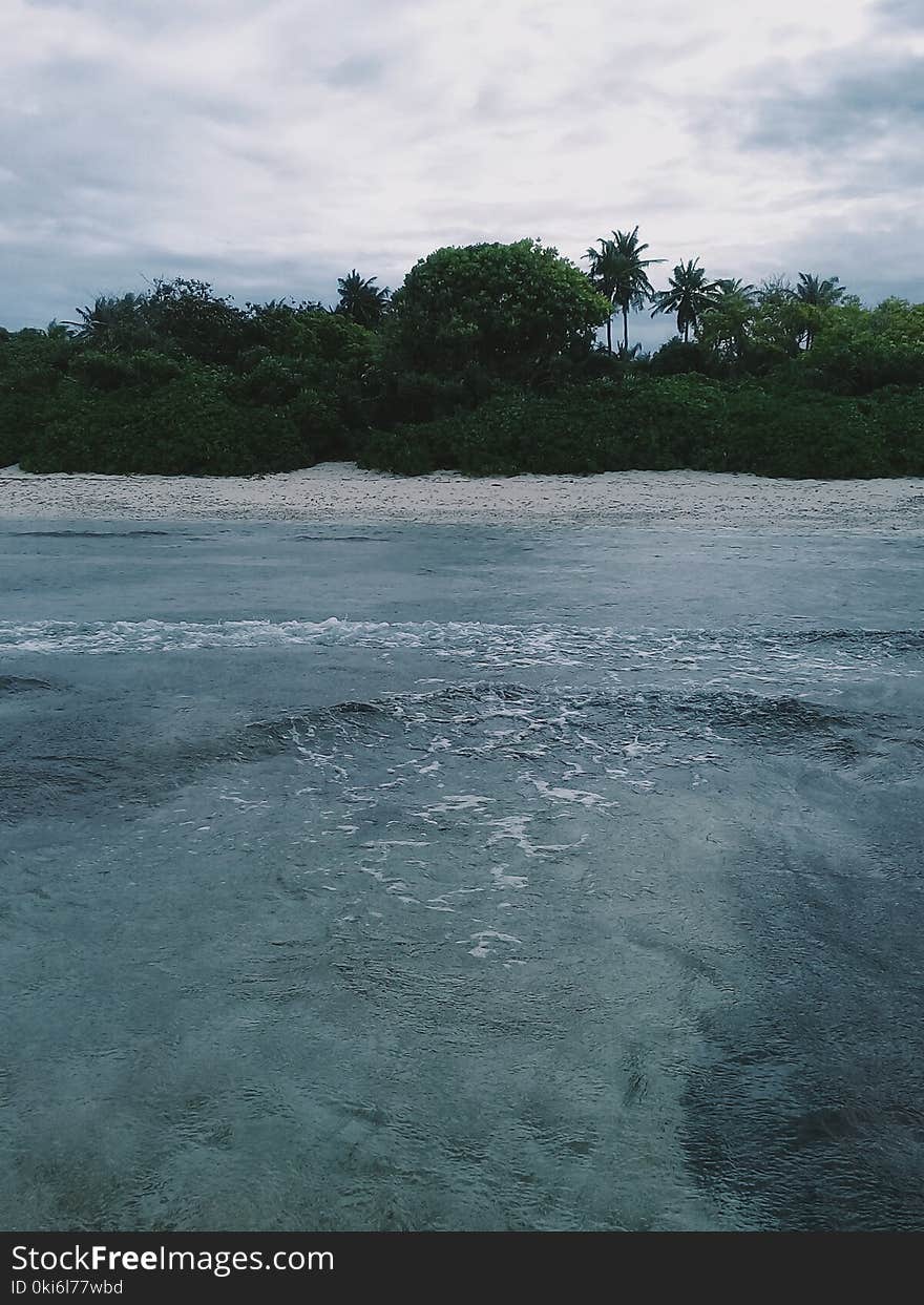 View of a Beach