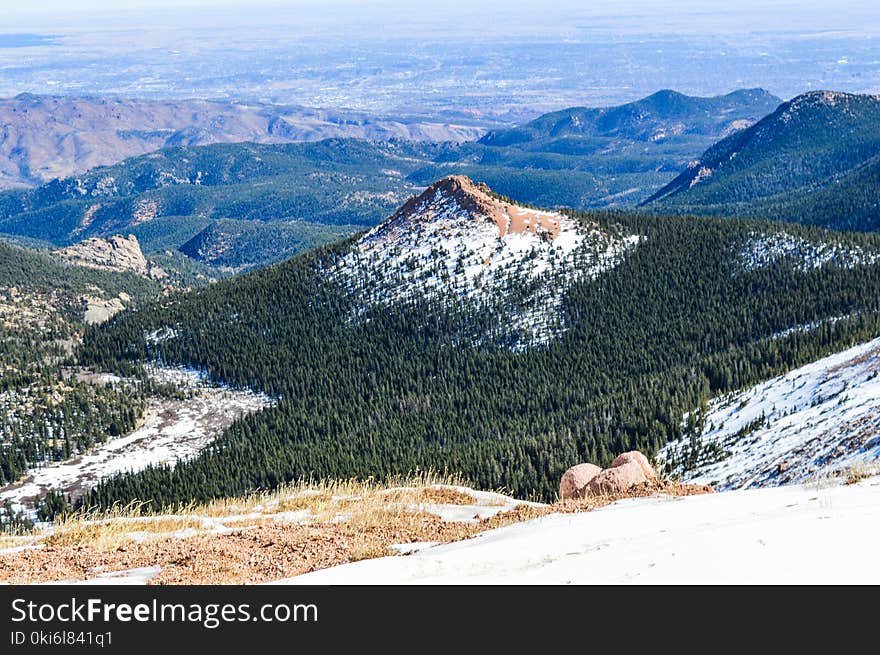 Green Trees on Mountain