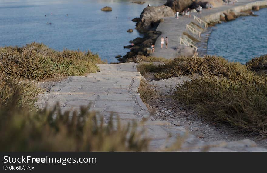 Selective Focus Photography of Green Grass Near Beach