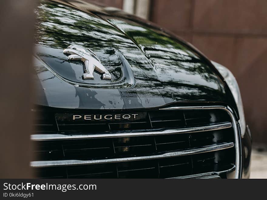 Photo of Black Peugeot car