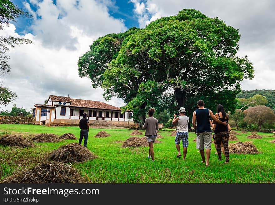 Group of People Walking Along Green Grass Field