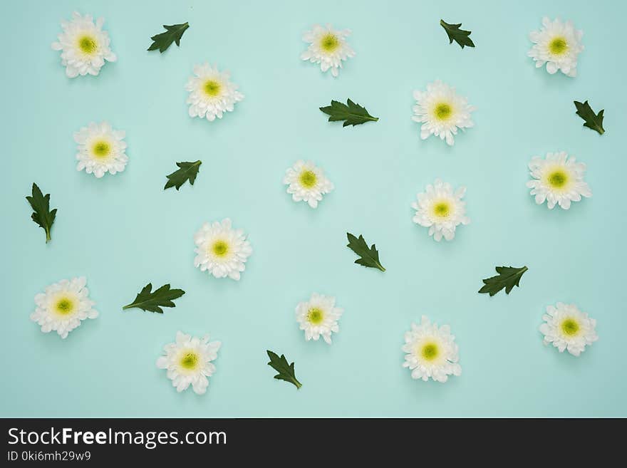 White Flowers and Leaves Decor