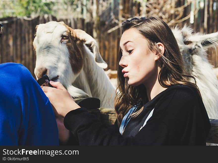 Woman Wearing Black Shirt White Goat at Daytime