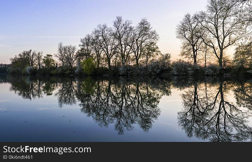 Panoramic Photo of Green Trees Near River at Noontime