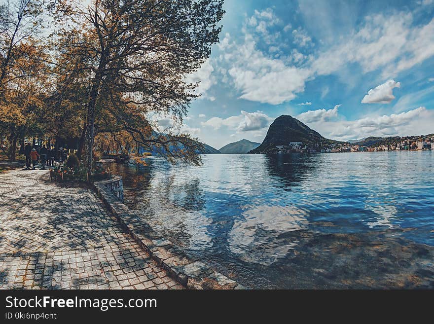 Body of Water Between Tall Trees Under Blue Sky