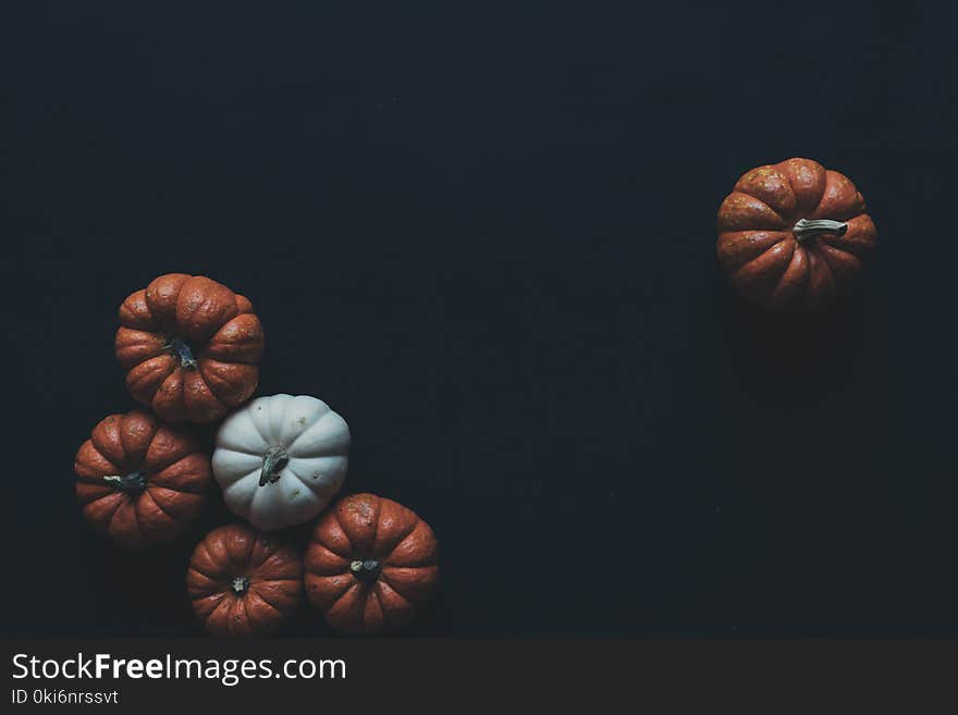 Photo of Brown and White Pumpkins