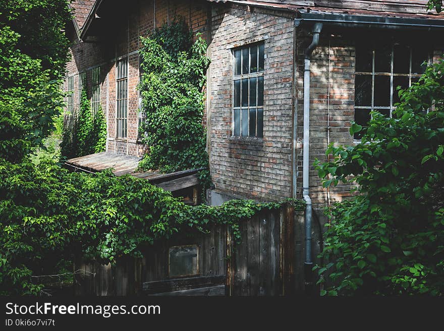 Gray Concrete House Near Green Trees