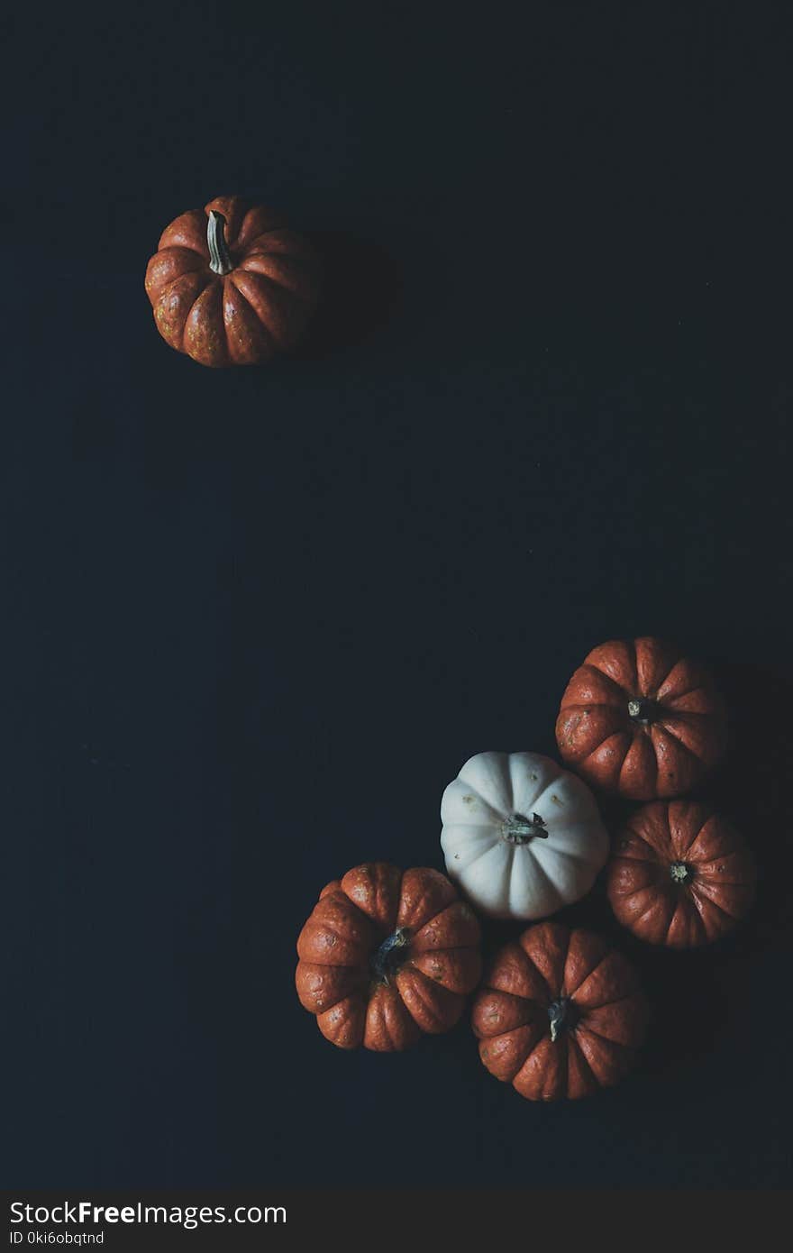 One and Five Brown Pumpkins