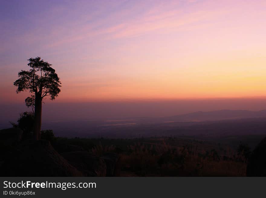 Tree on rock with cloud and sky in Moning twilight time