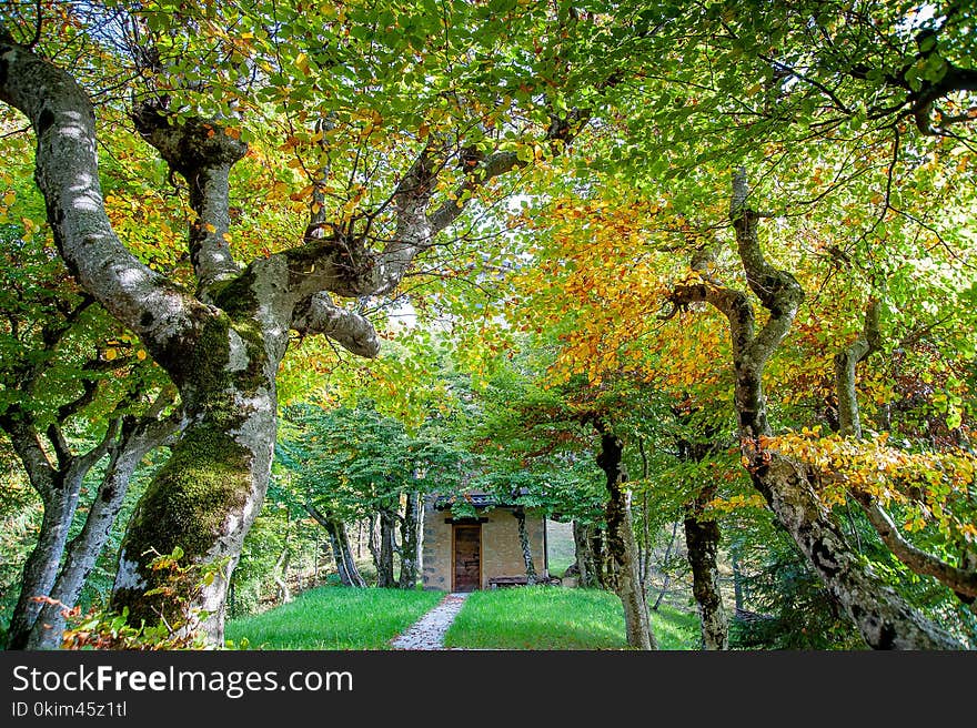 Hunting house wrapped in autumn trees. Hunting house wrapped in autumn trees