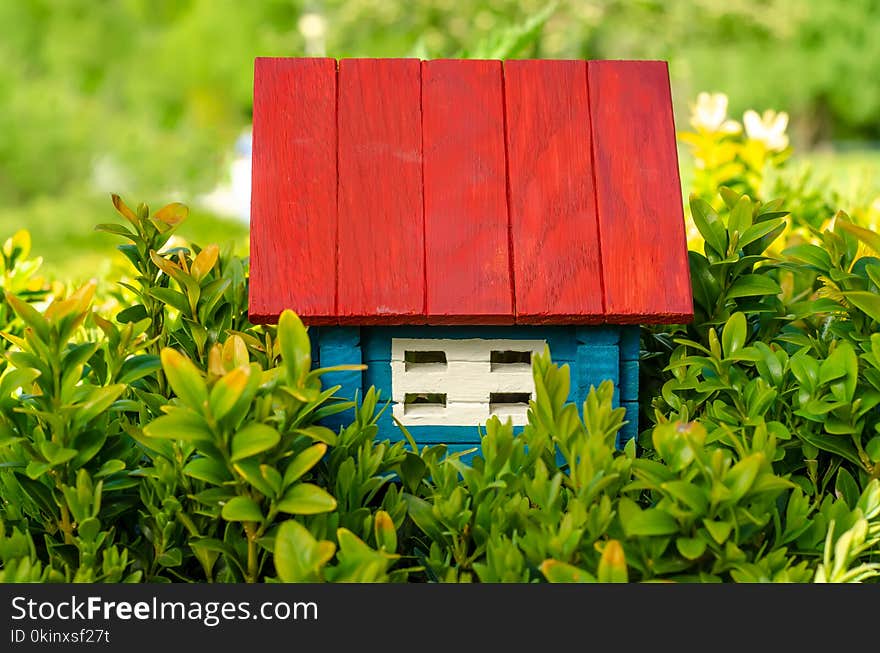 Small wooden house sun leaves plant green nature on blurred background