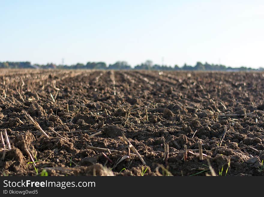 Eye-level Photo Of Cultivated Land