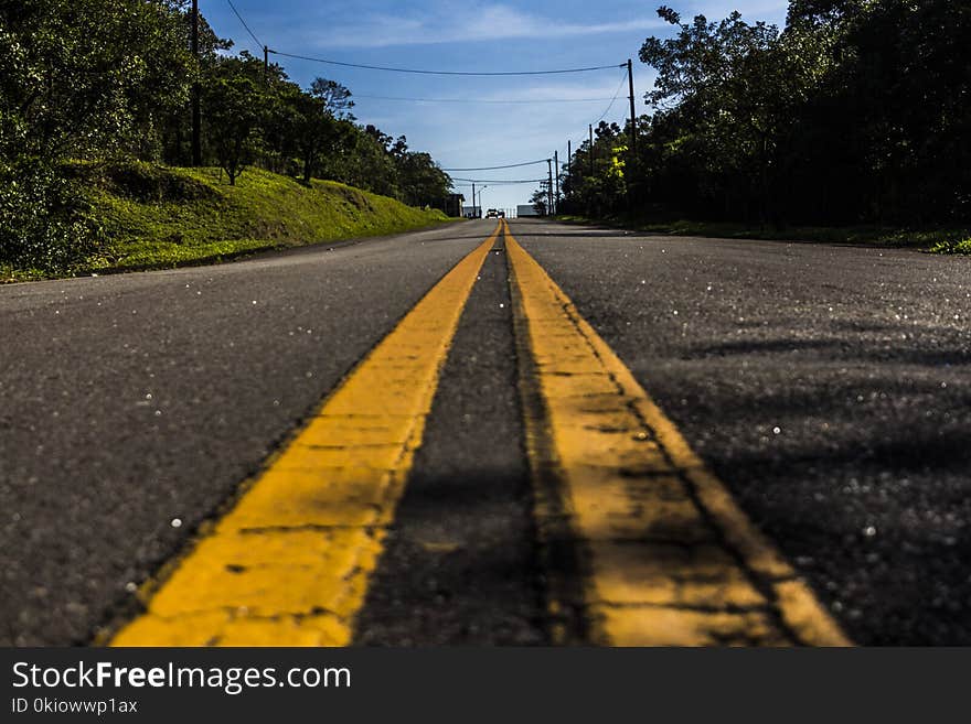 Road in Between Green Tree Under White Clouds and Blue Sky