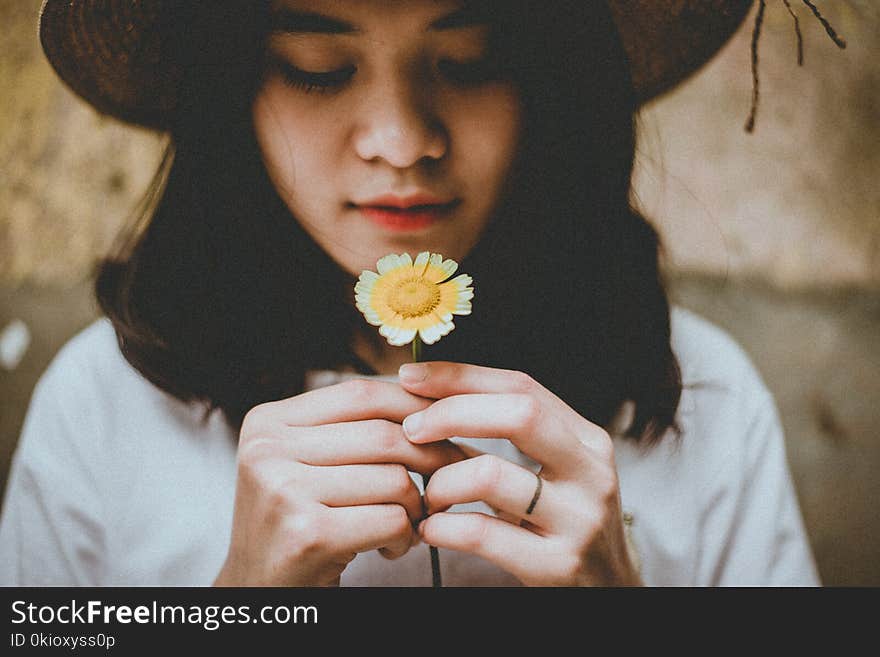 Person Holding Sunflower