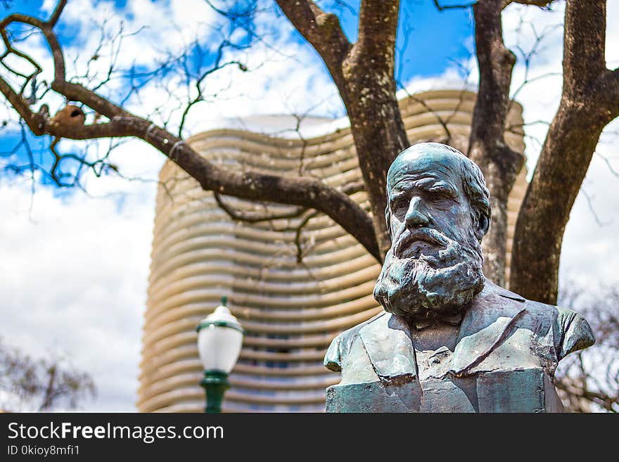 Man&#x27;s Bus Statue Under the Bare Tree