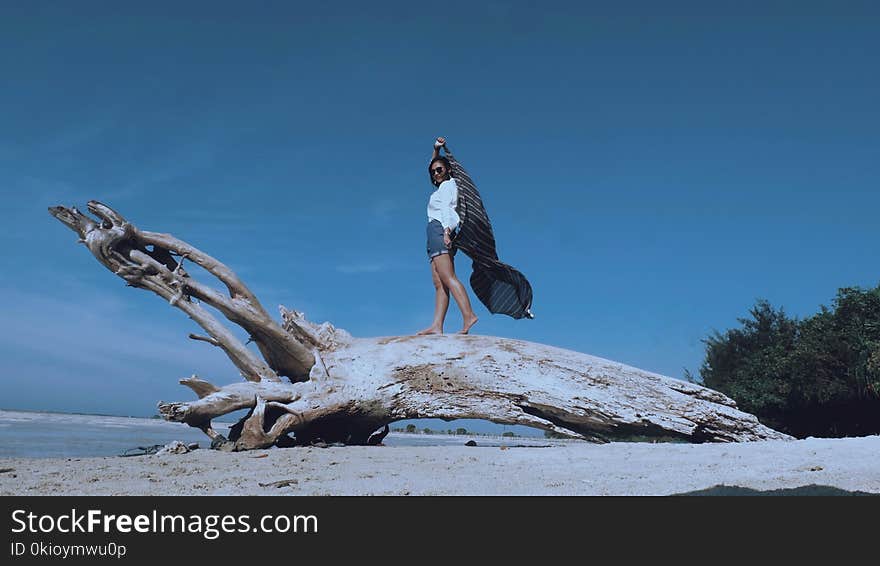 Woman at Top of Tree Trunk Near Beach