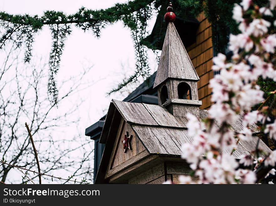 Brown Wooden House